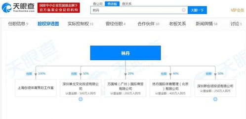 從球場到商海 林丹退役后的商業版圖與數字足跡
